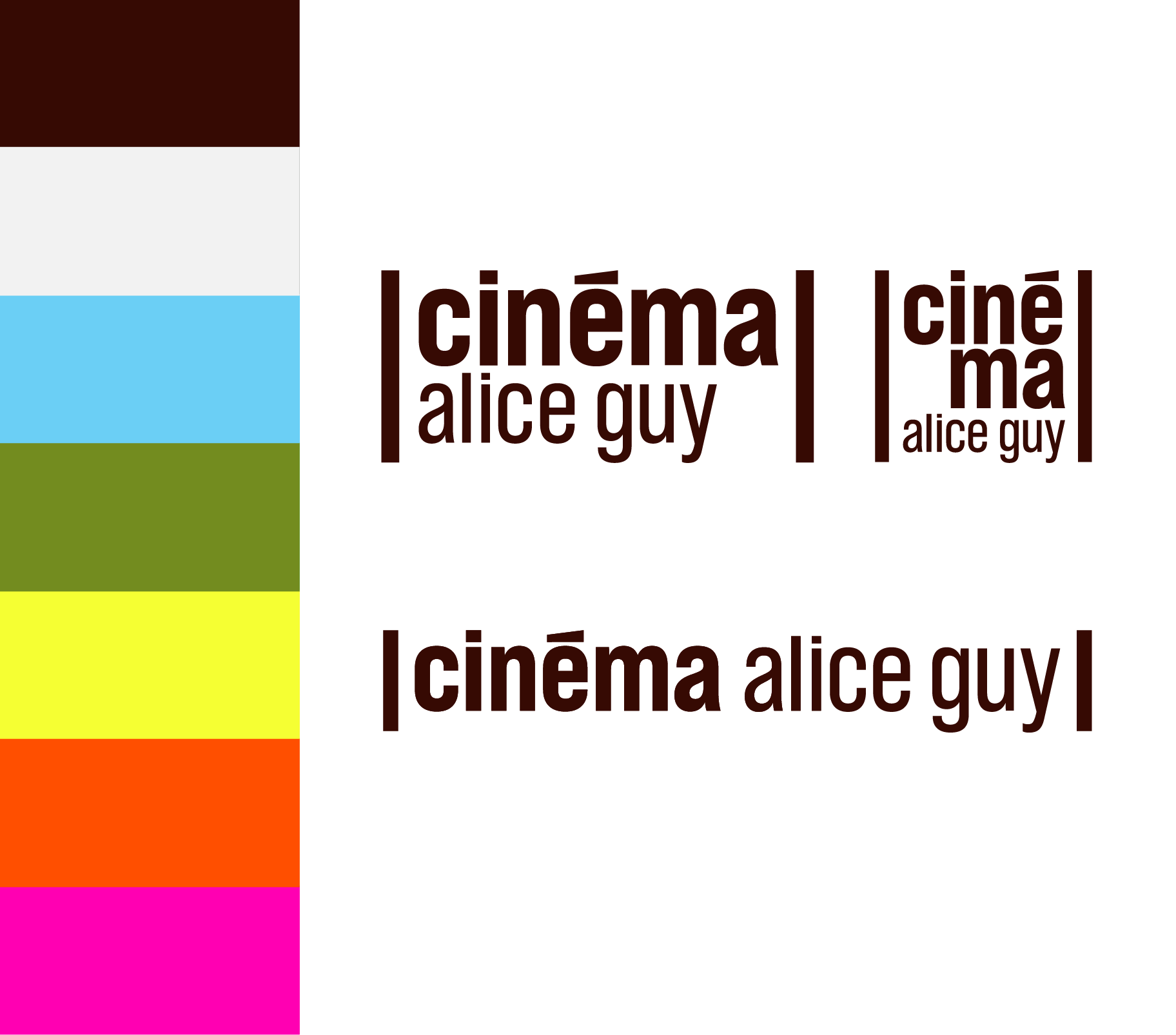 CAG logo palette couleurs
