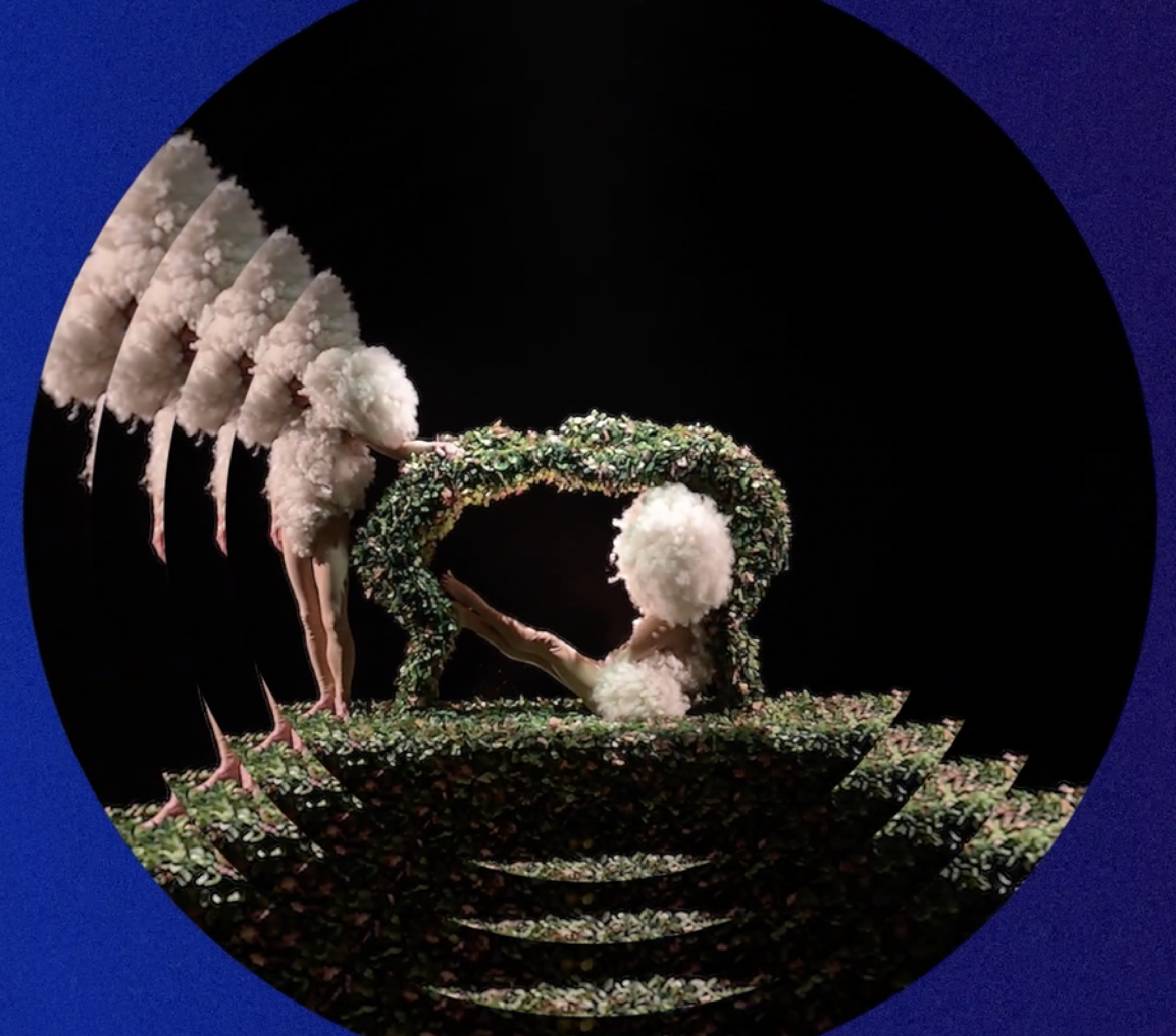 Festival fait d'hiver 2024 visuel instagram